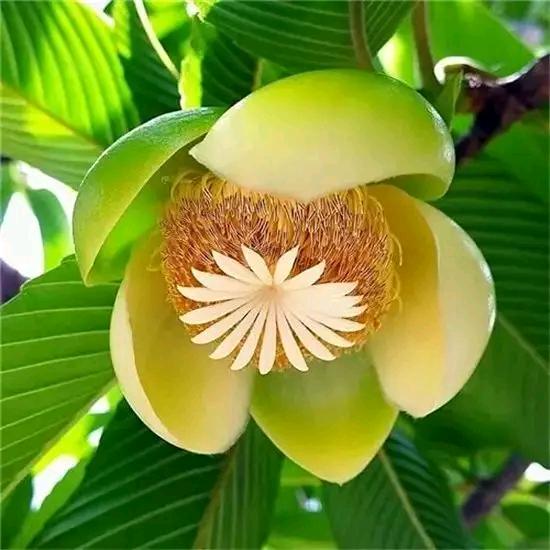 💔哭了💘💗谁心疼🥀🎋