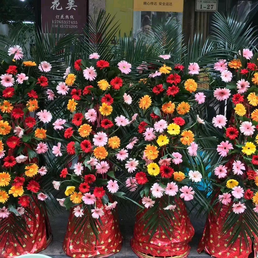 剑锋贵红花屋
