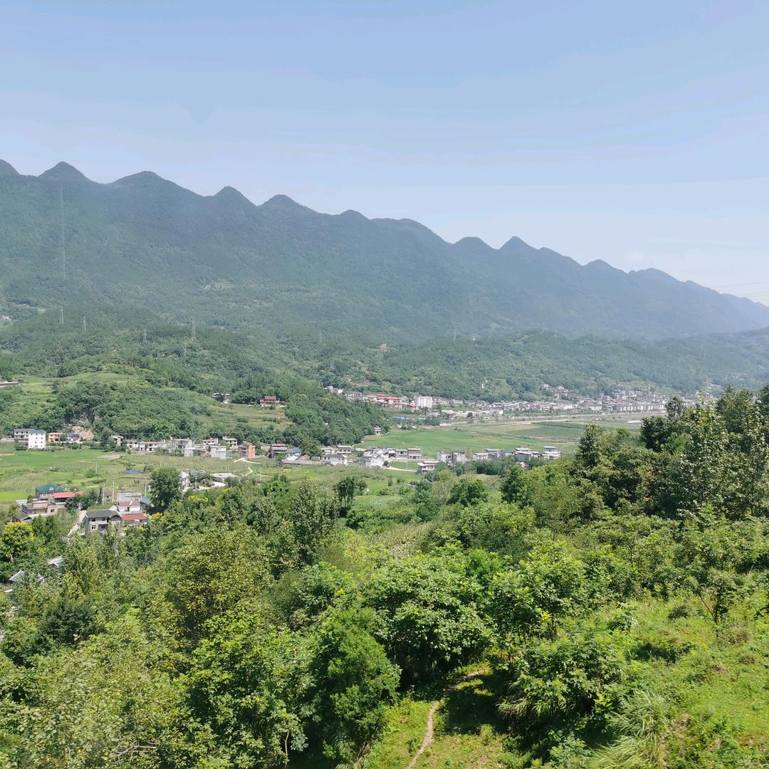笑看人生