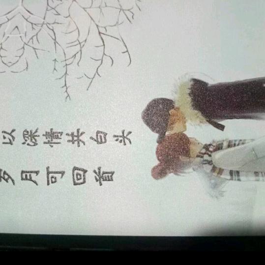 流年时光—爱玩土猎（小张）
