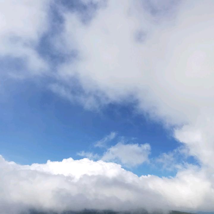 潇洒人生