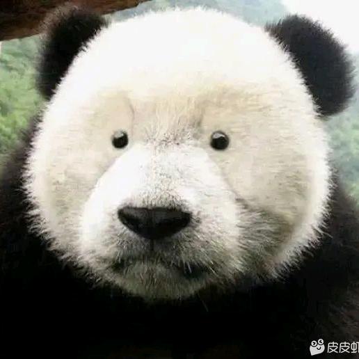 小球球