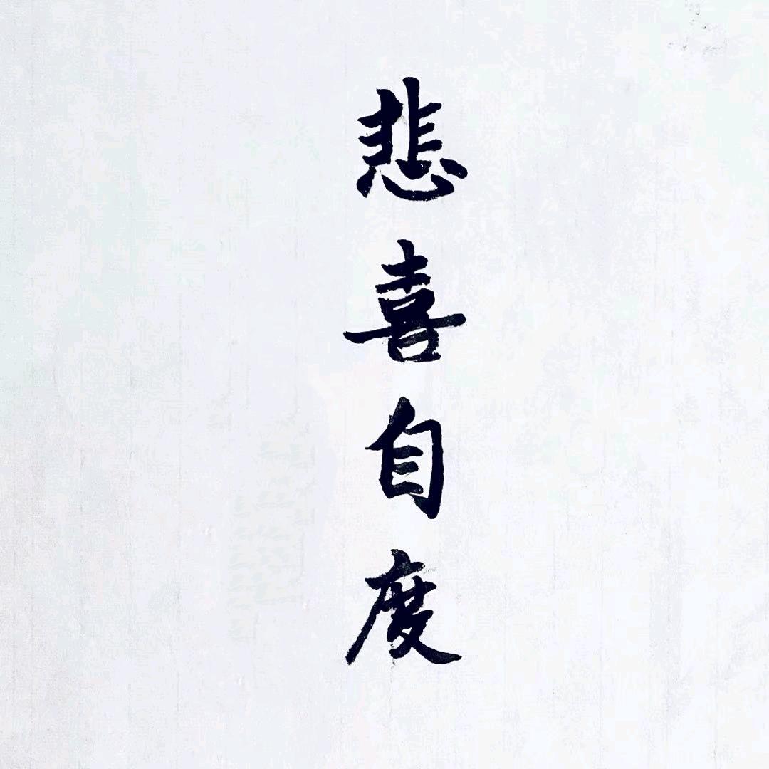 素写流年