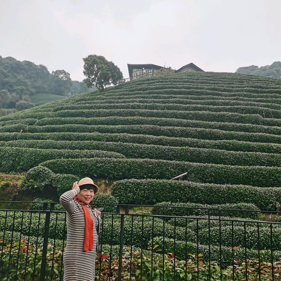 福娃（谢绝私聊）