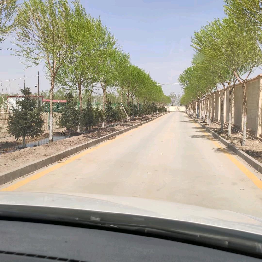 泰安驾校