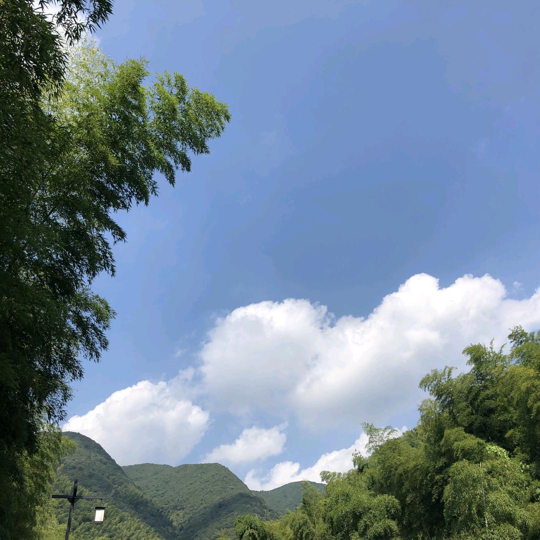 涛声依旧