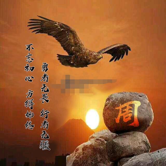 z先生