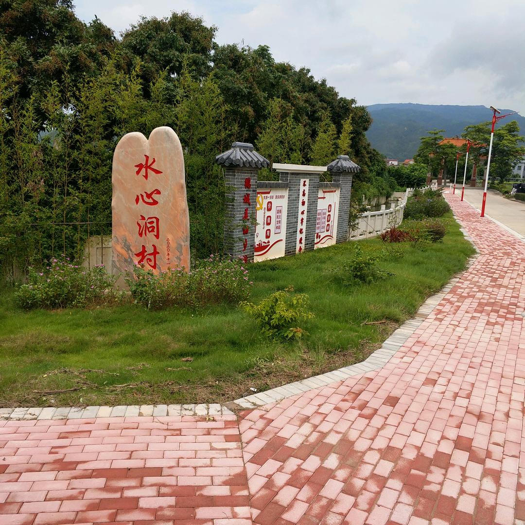 肥老钟挖掘机土石工程🤝🤝🤝