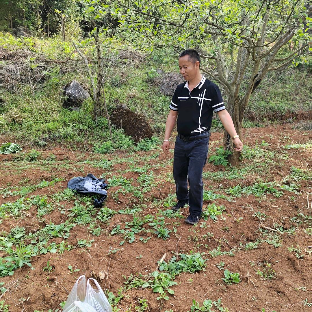 懂你的回忆