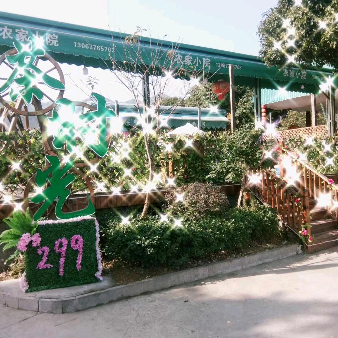 茶时光西湖龙井