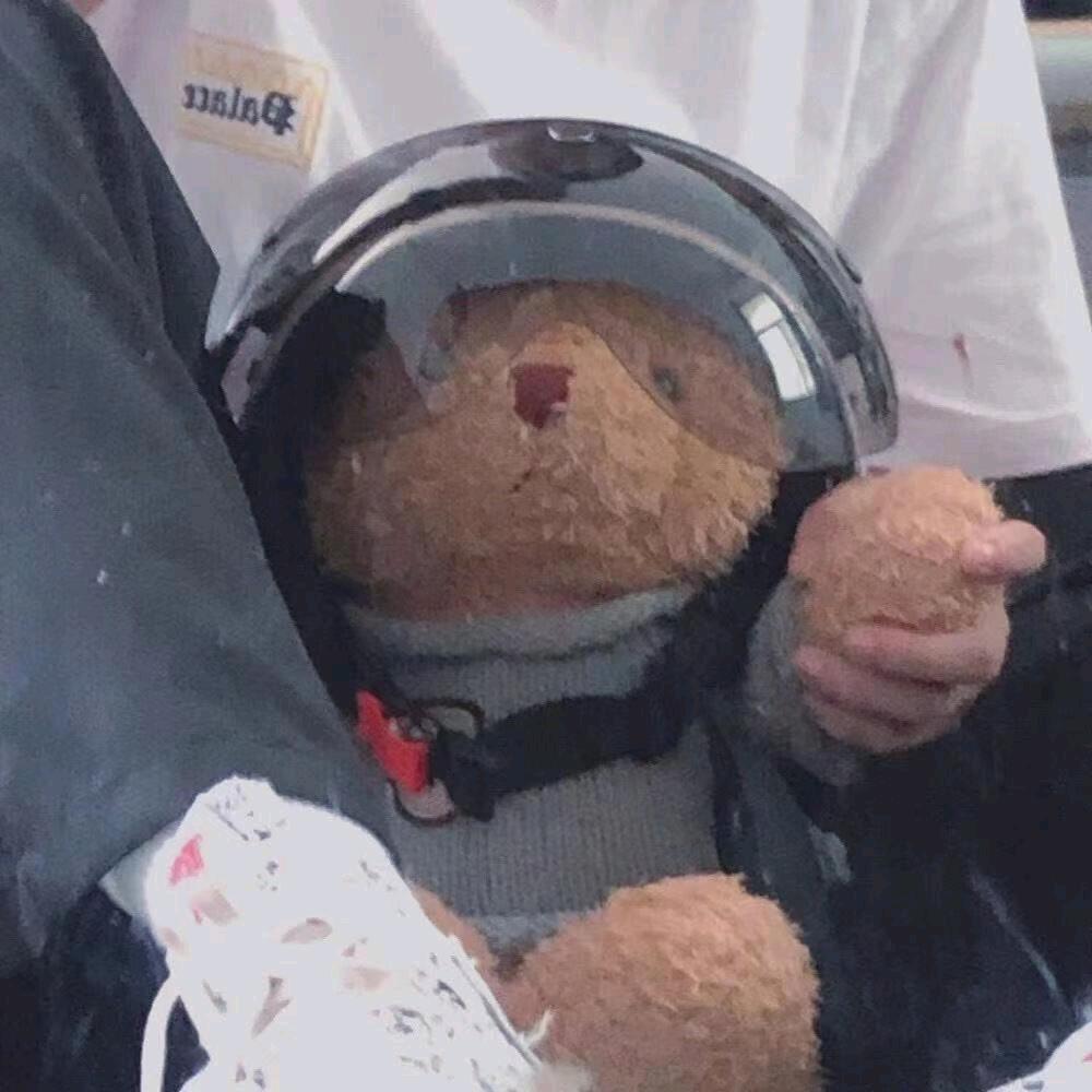 🌈🌈🌈🌈陪伴（동료）