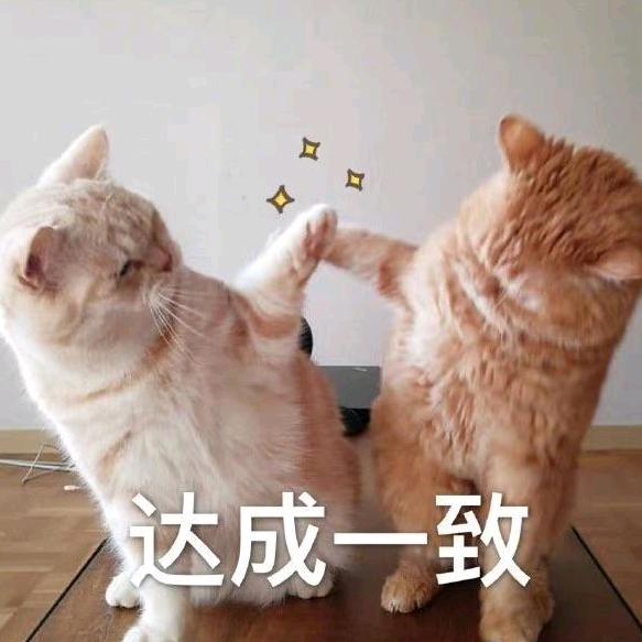 马洋洋