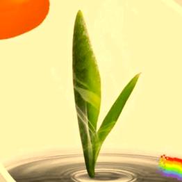 成安木木爱喝茶🍵