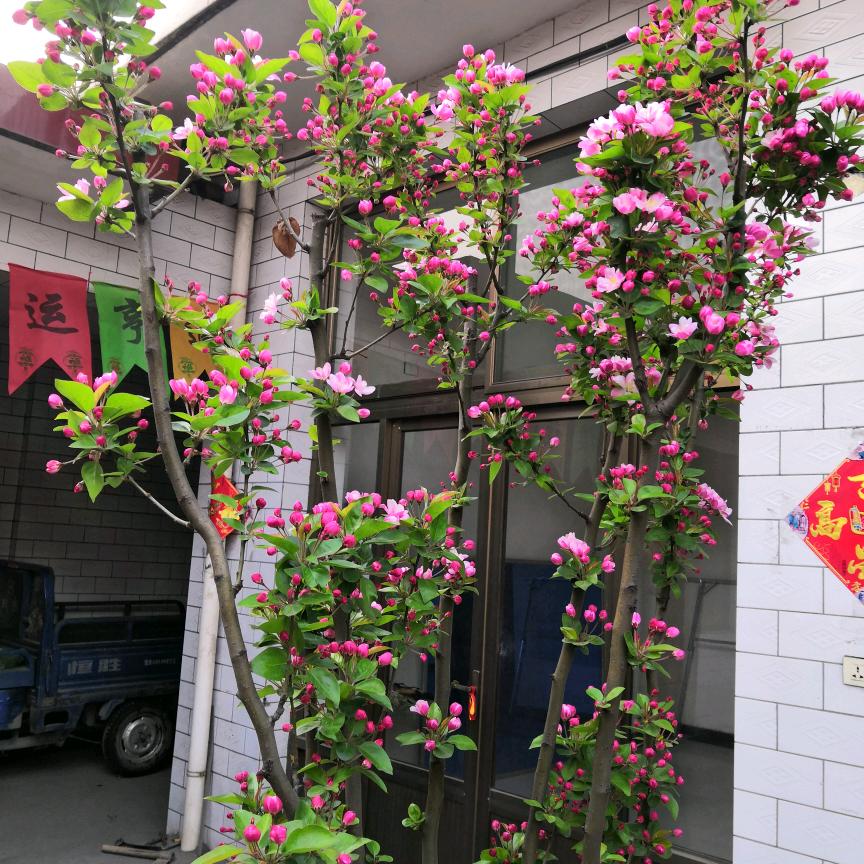 家和万事兴！！