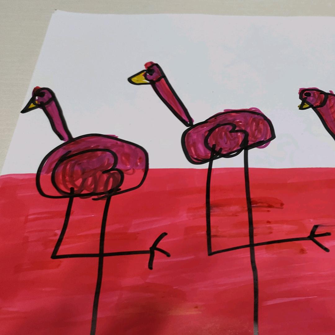 火烈鸟用户45569947