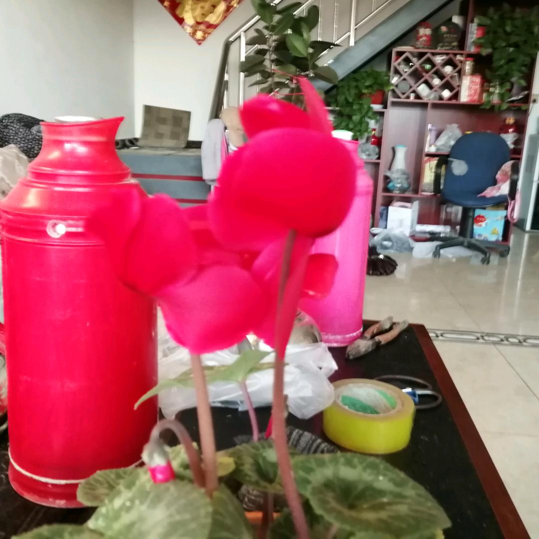 杨建国
