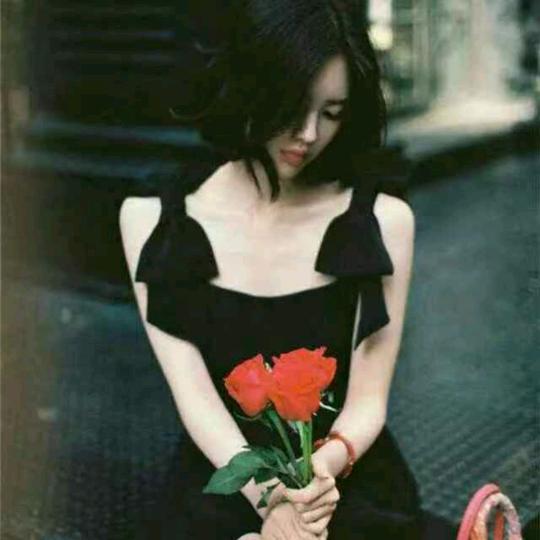 燕子y
