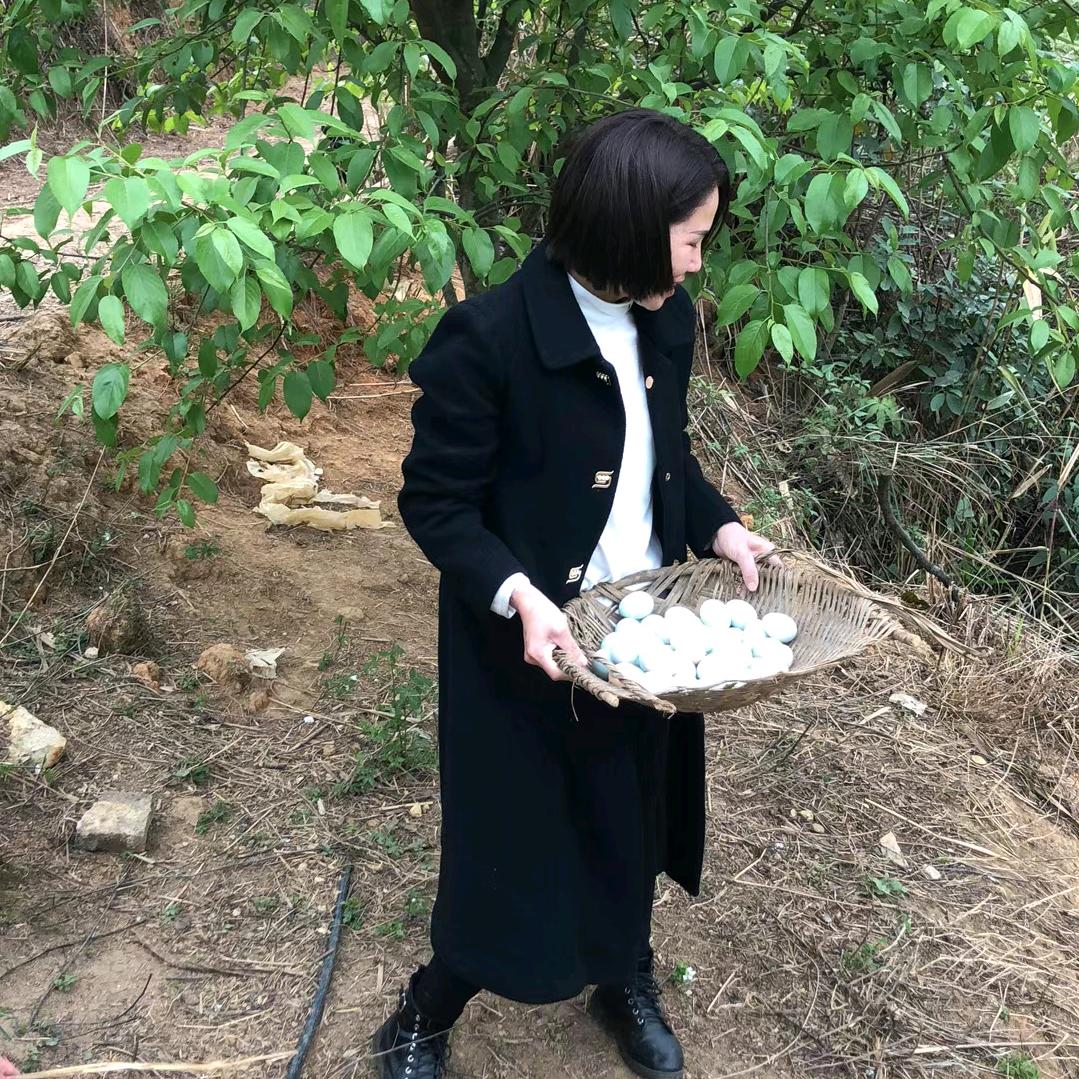 齐姐（四川彬彬哥小跟班）