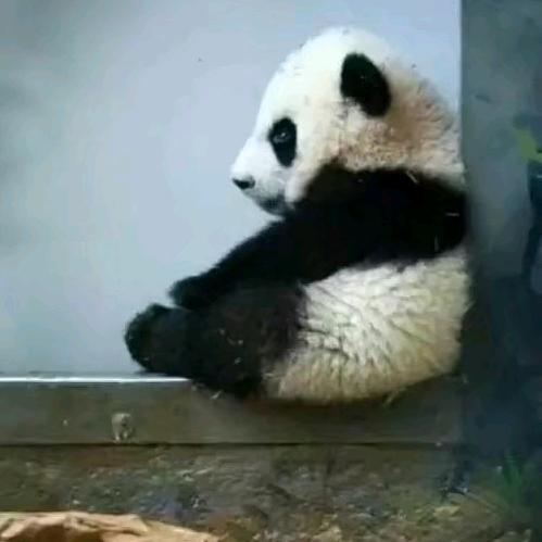 ^-^三分微笑^-^大侠