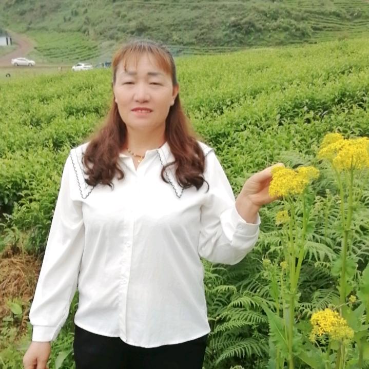 奋斗一生