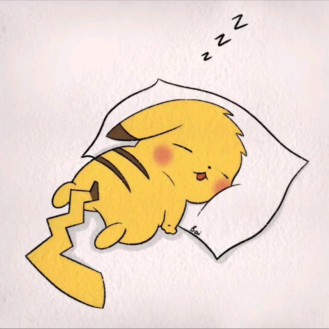 不是羊羊
