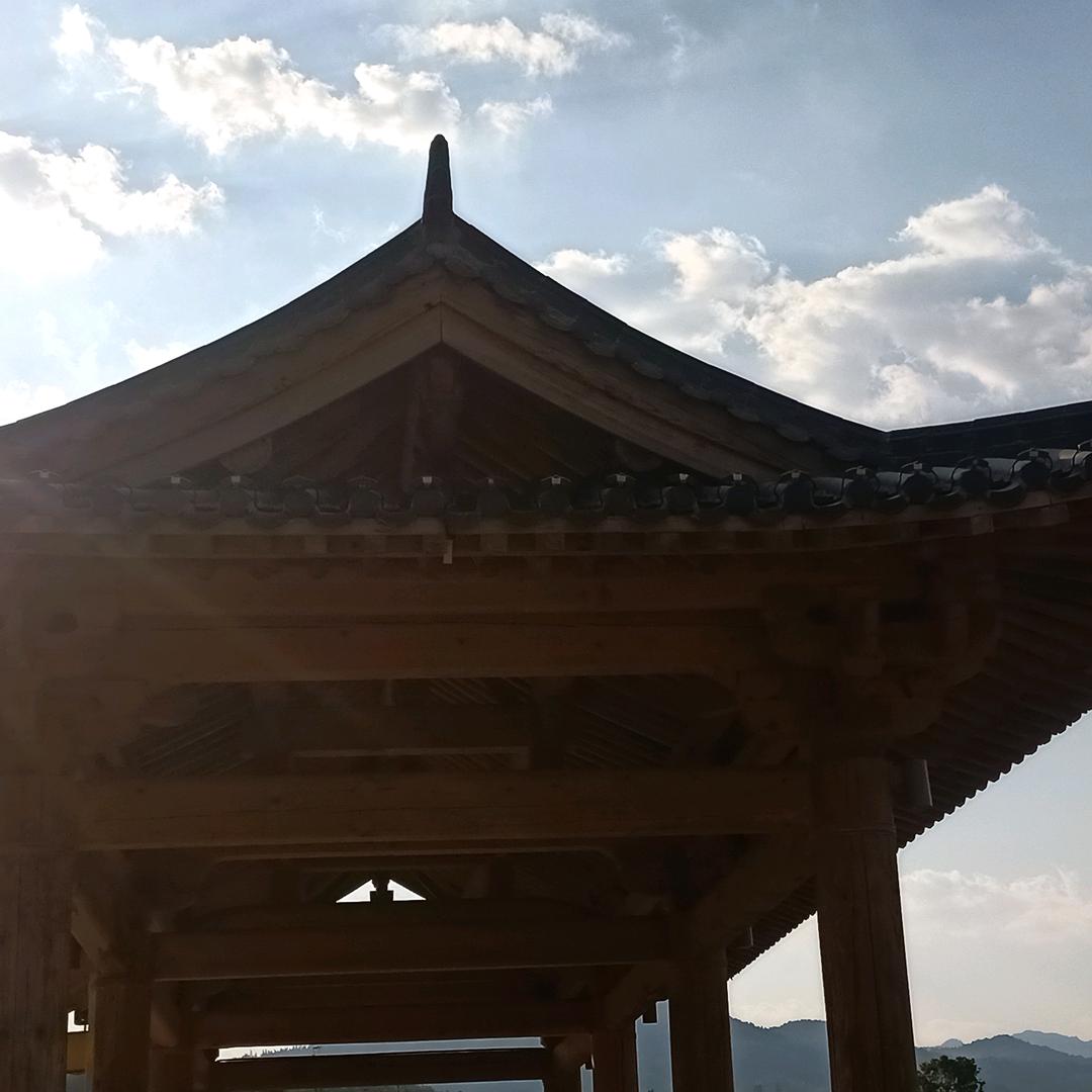 骆驼祥子