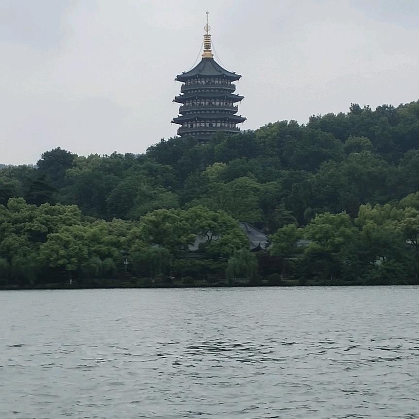 白茶清欢