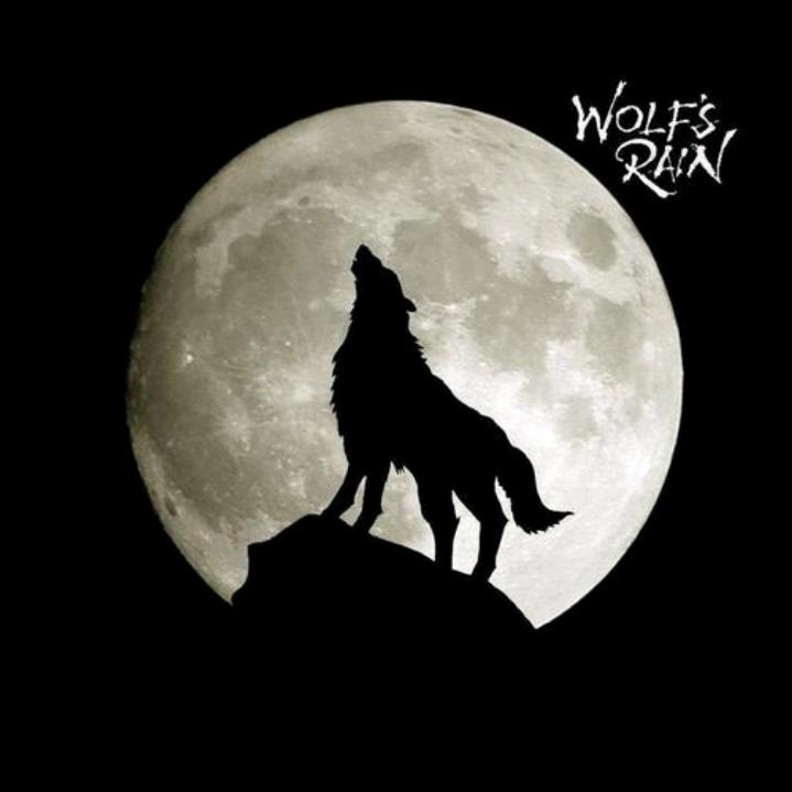 精诚装修，因为专业，所以放心