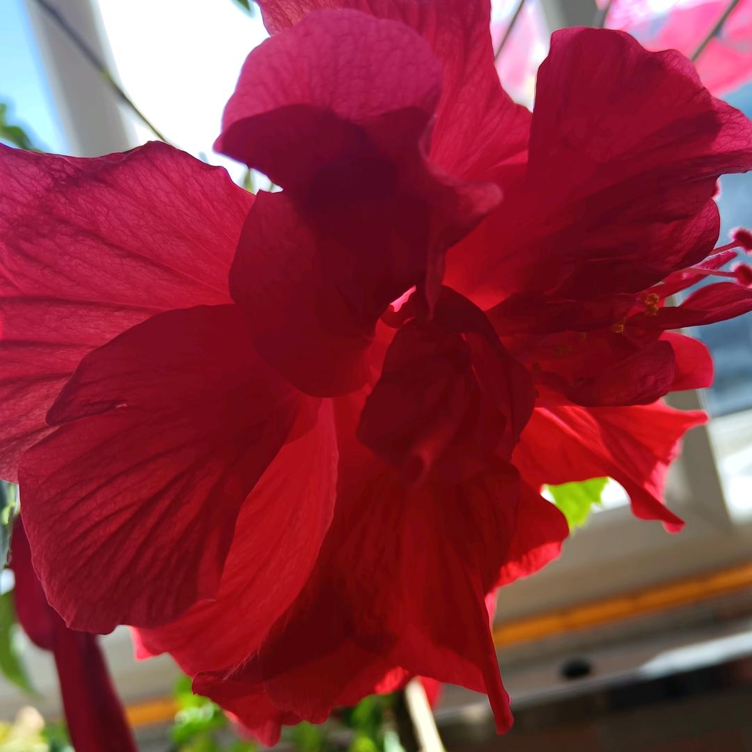 芹姐🍎🌹