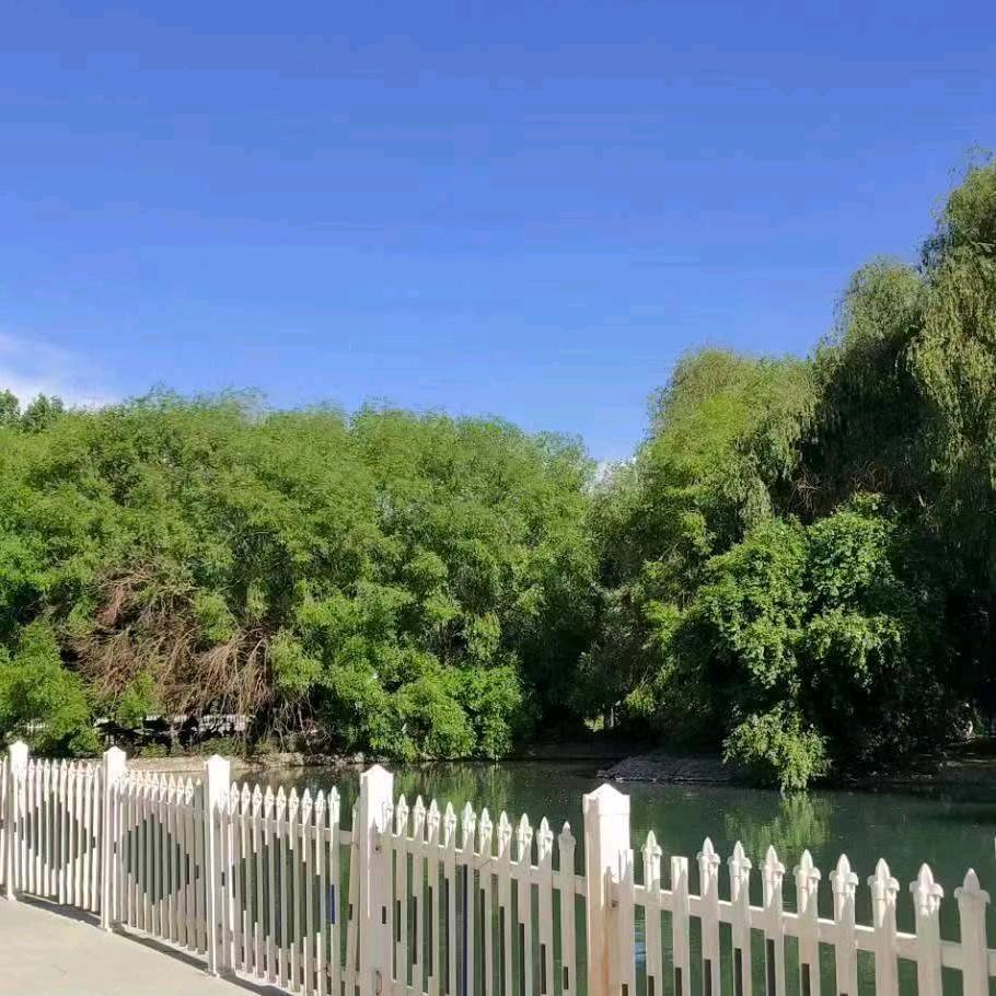 你和我的倾城时光