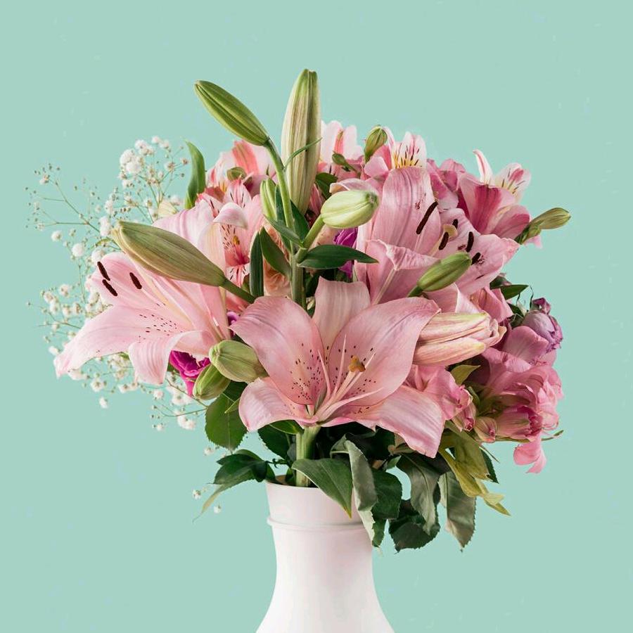 大辛庄范家煤场