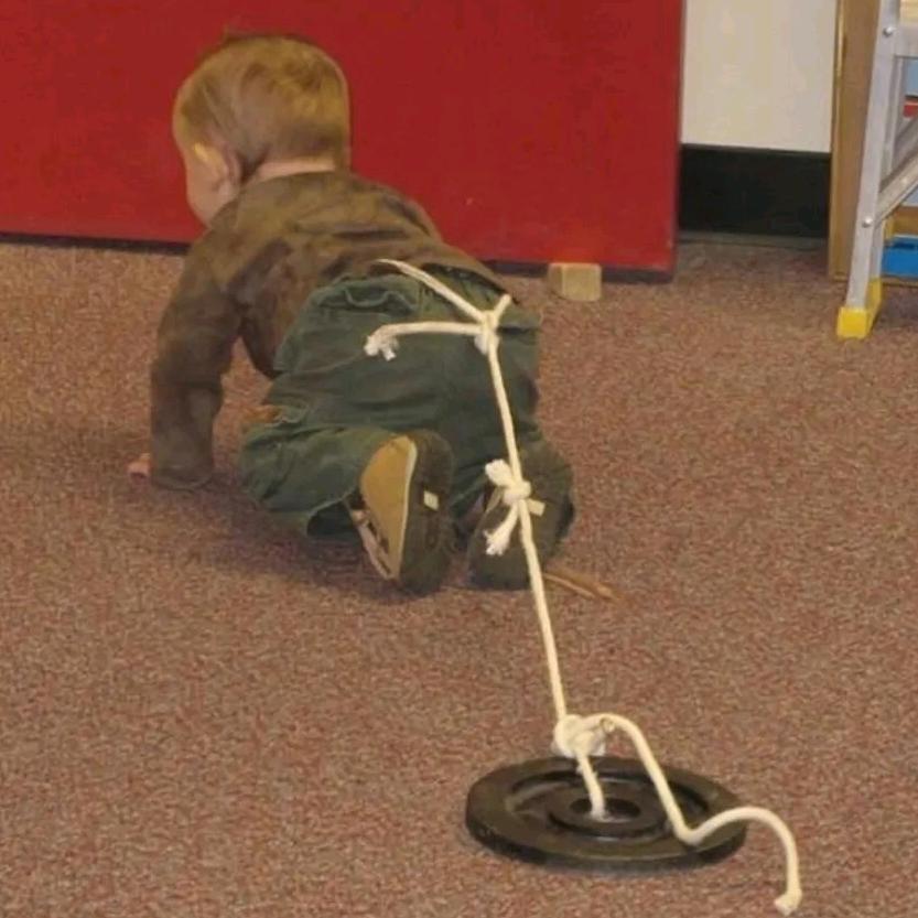 准备放羊的小灰灰