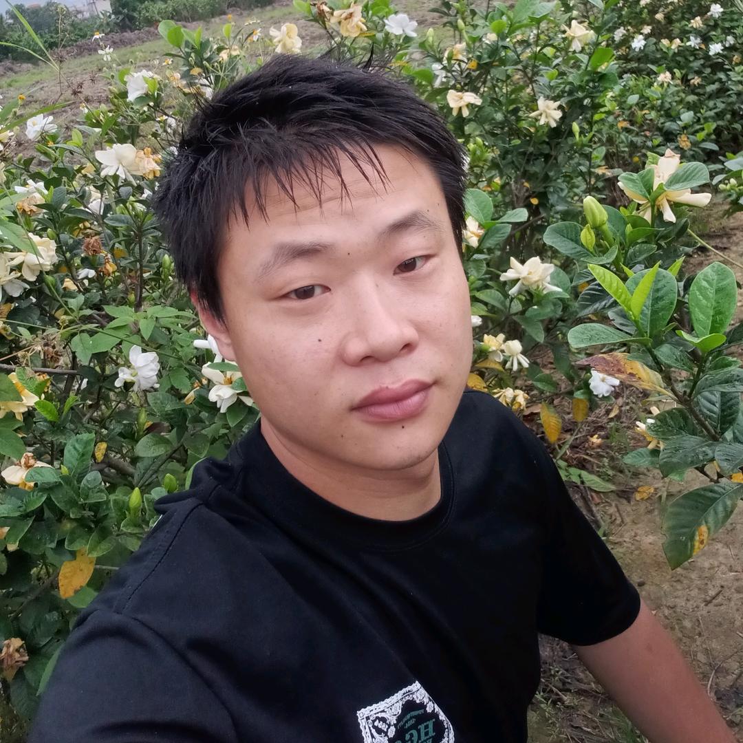 搬砖哥