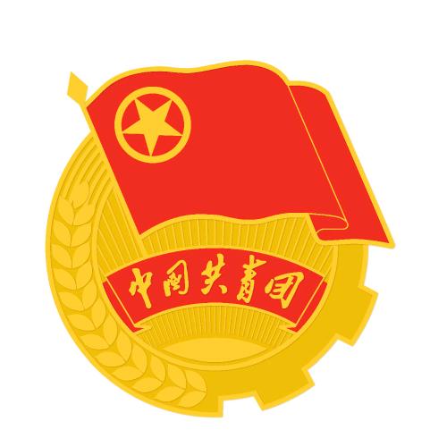 陇南武都团委