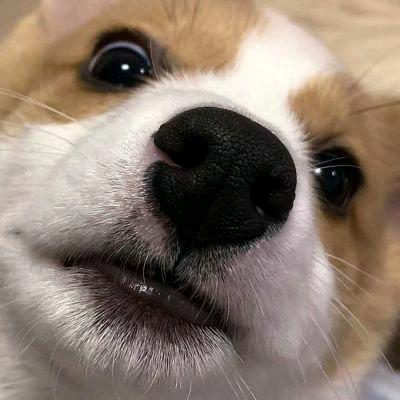 彩盾企业店