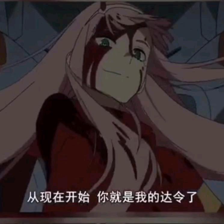 T. Y.