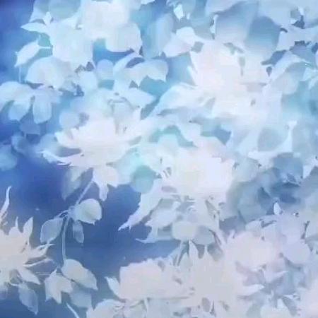 赵云
