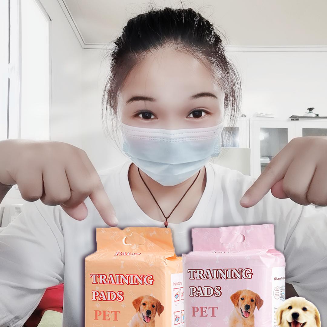 林林宠物供应链