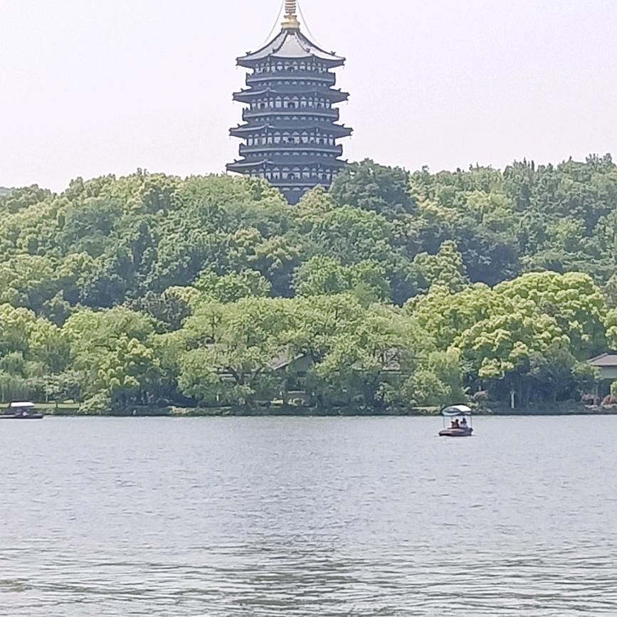 鹤壁张江