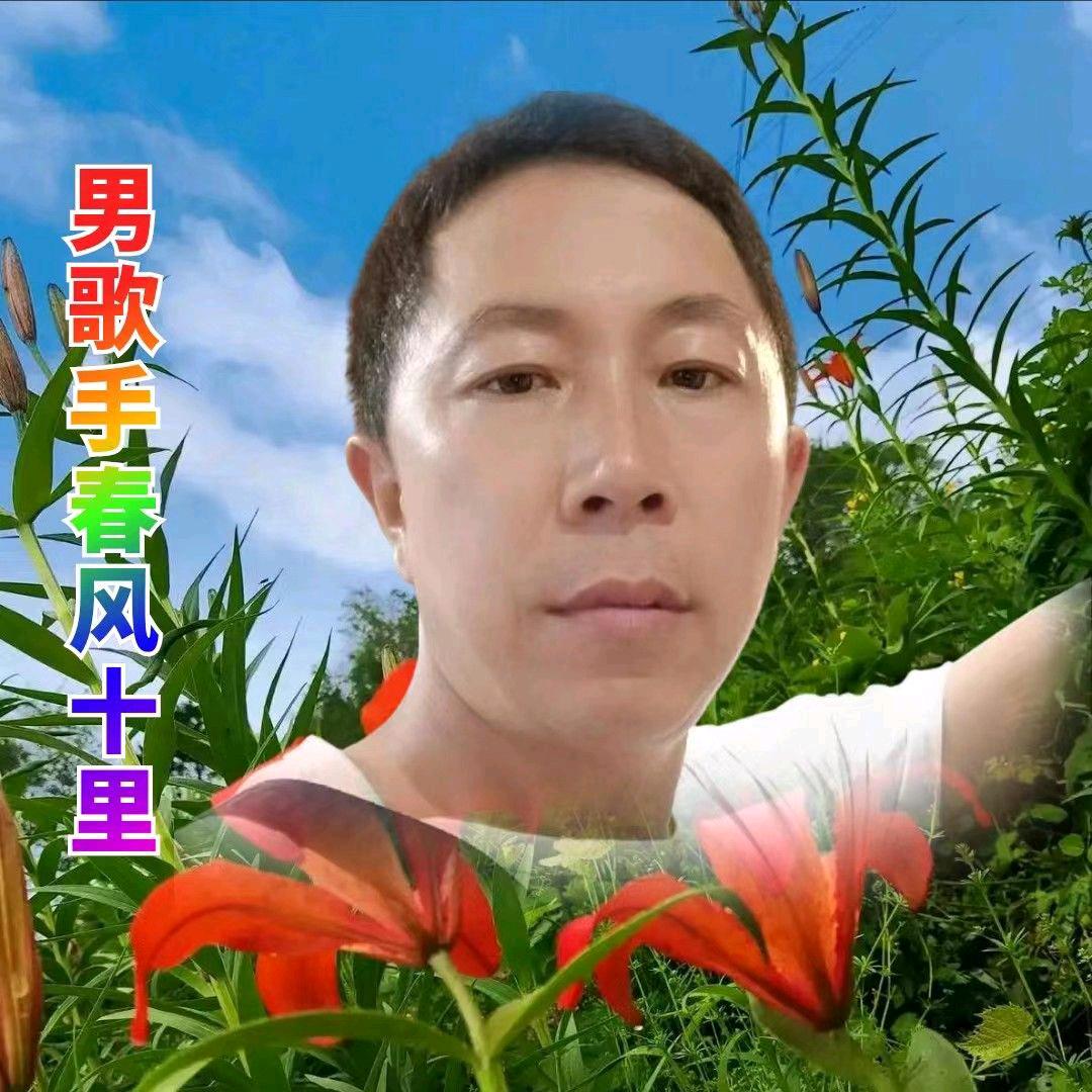 春风十里桃花