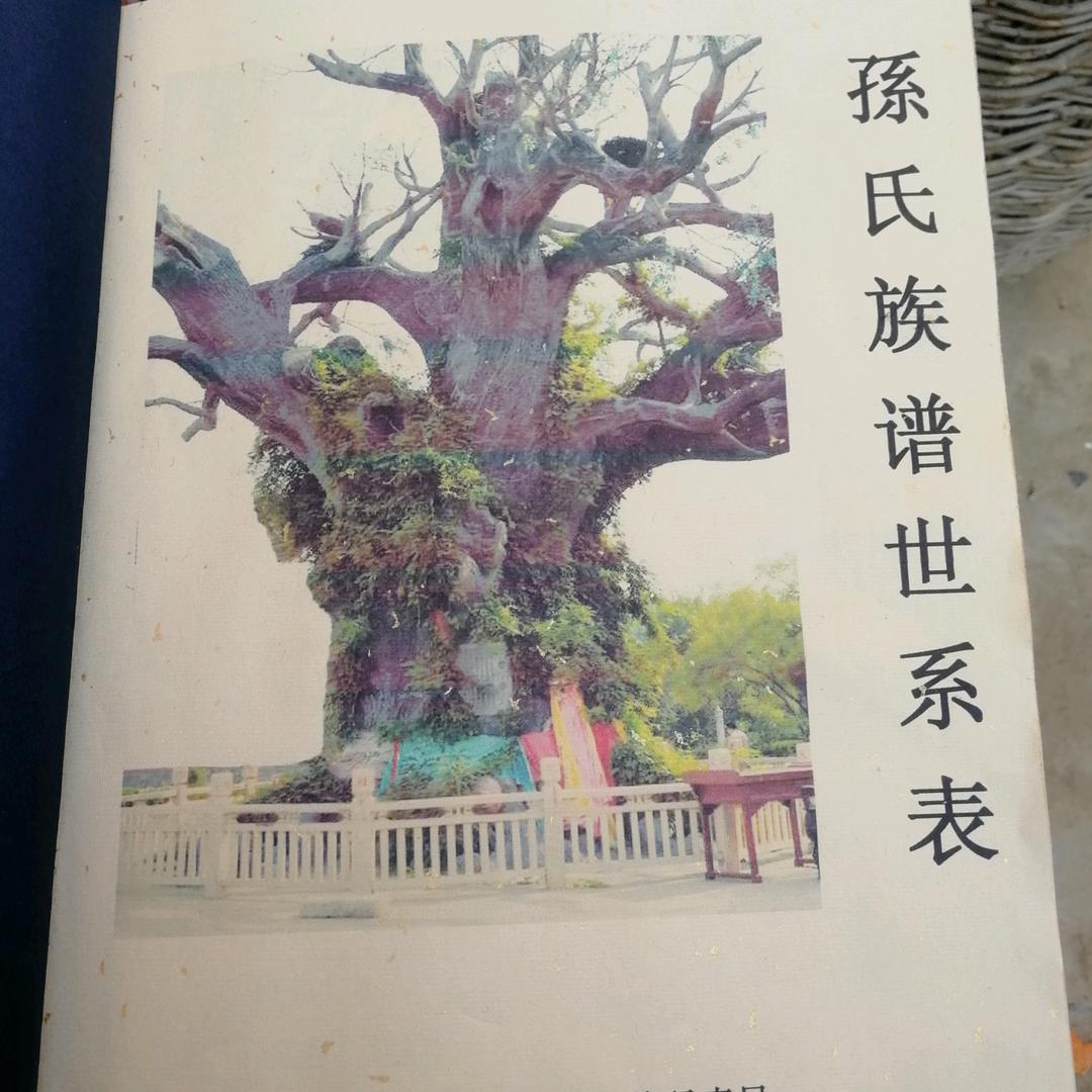 A梦想小镇、从基础做起来，消防，管道，桥