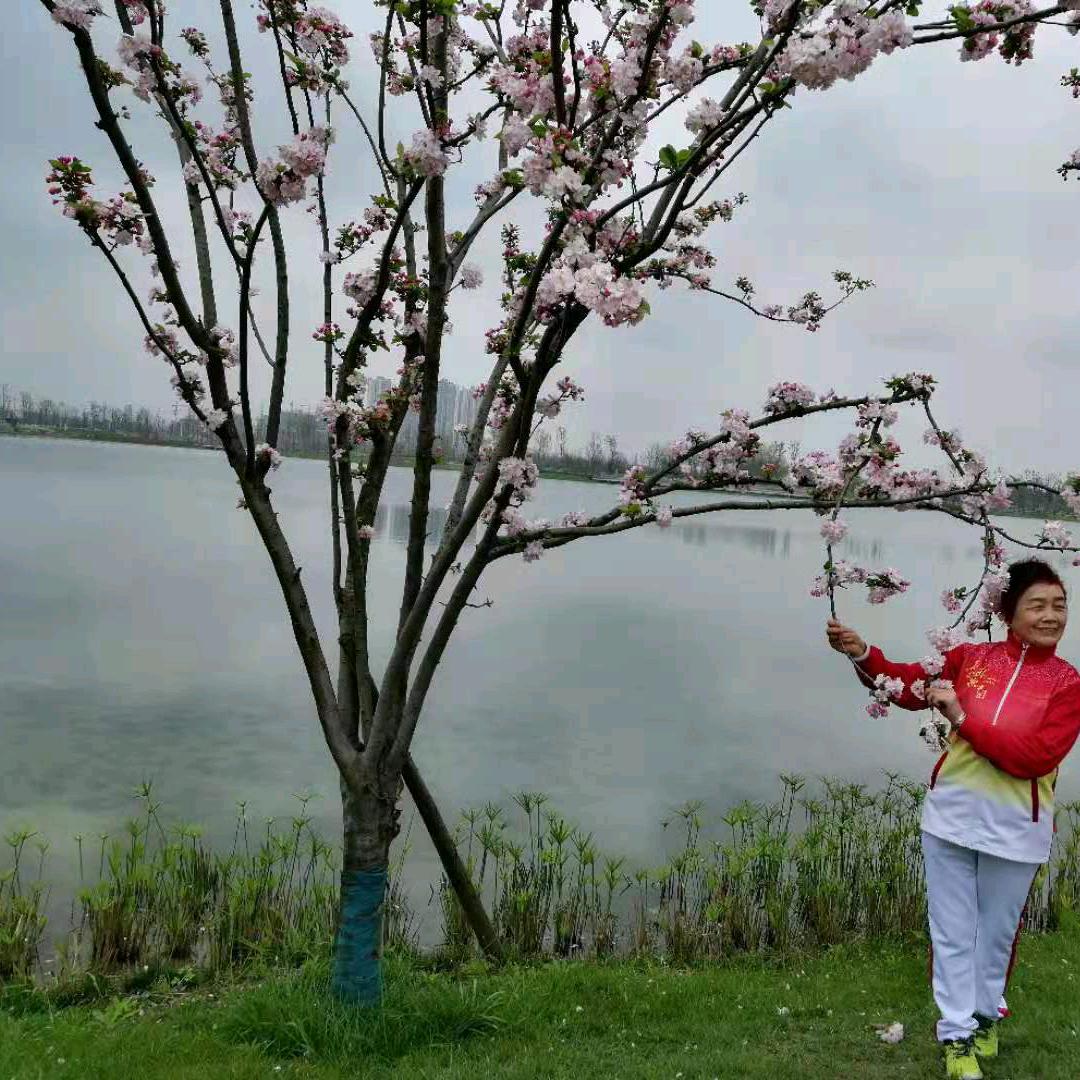 故山花开《拒绝私聊》