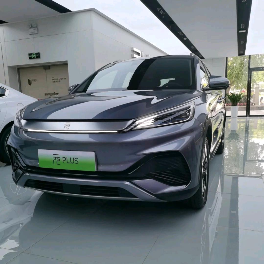 小灰的元Plus