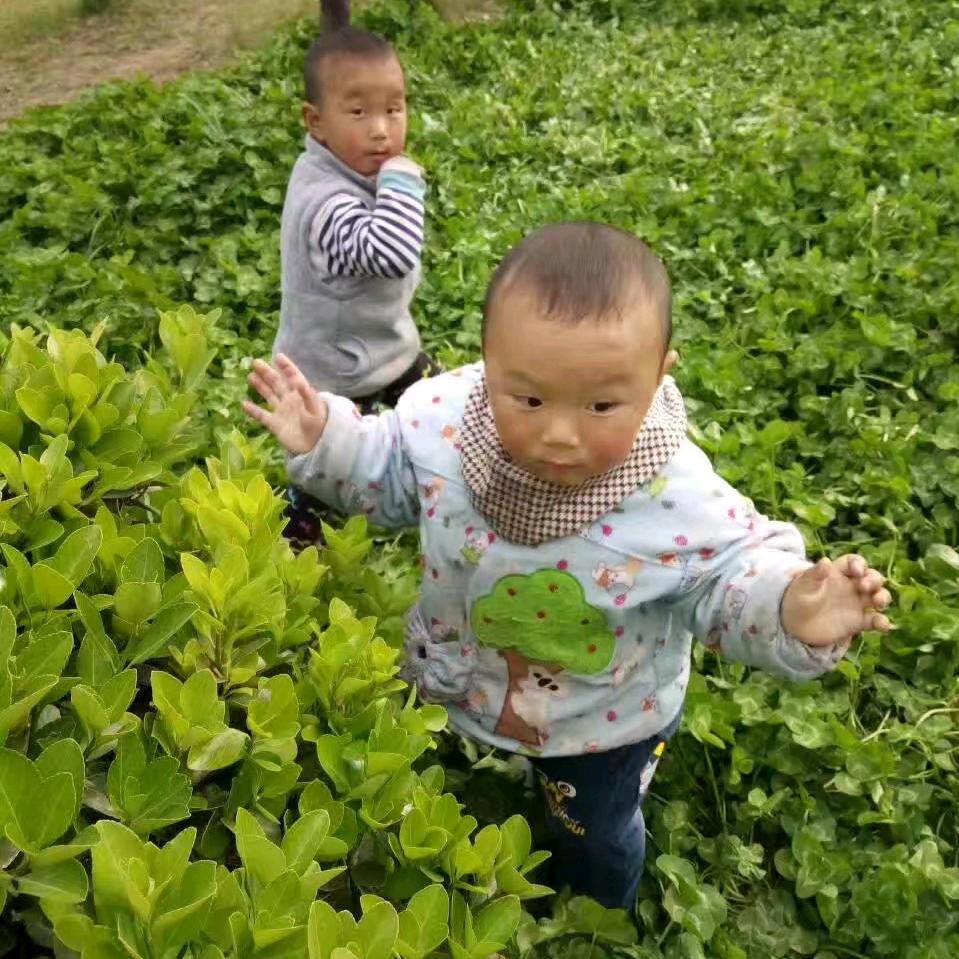 霸气℡小淑女