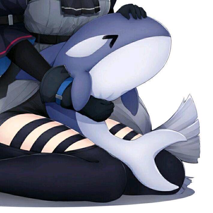 505