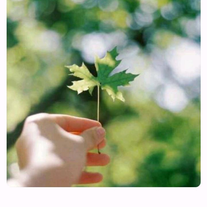 随缘
