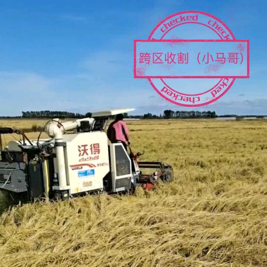 跨区收割（小马哥）