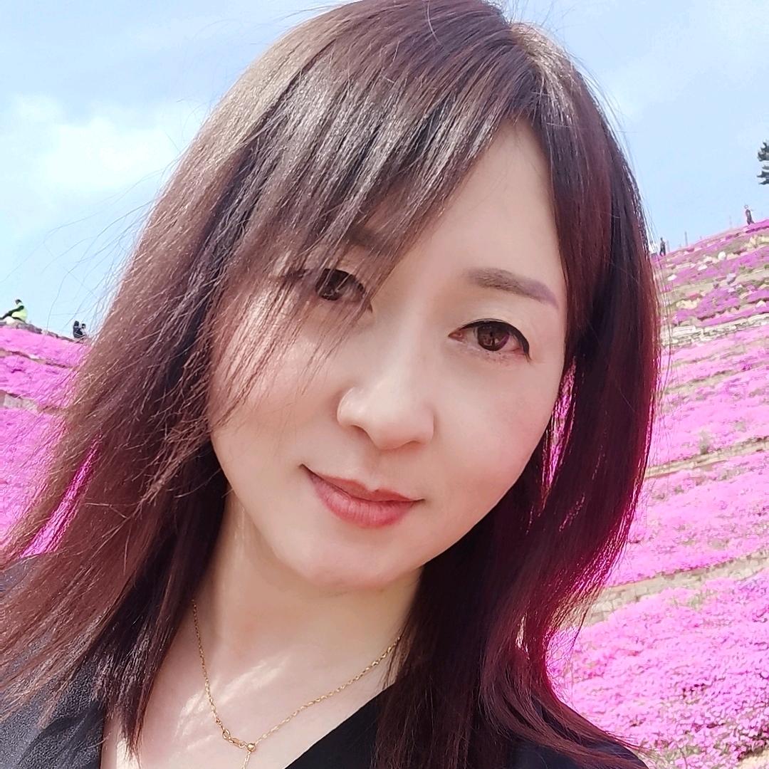 夏日的猫