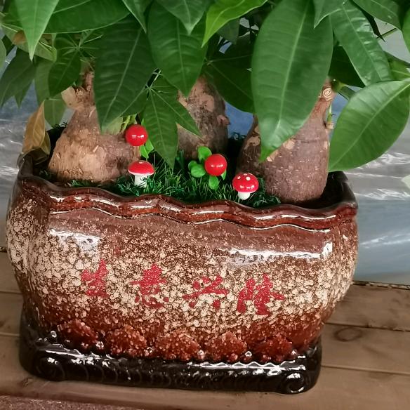 永恒哥