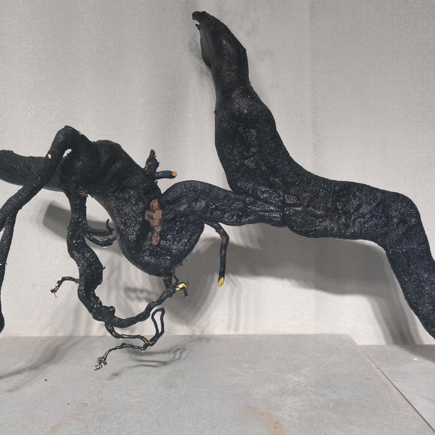 蕴灵金弹子盆景